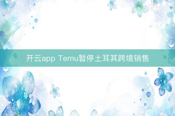 开云app Temu暂停土耳其跨境销售