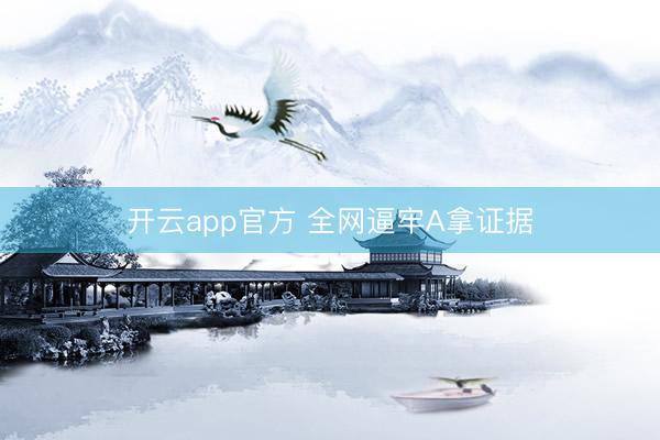 开云app官方 全网逼牢A拿证据