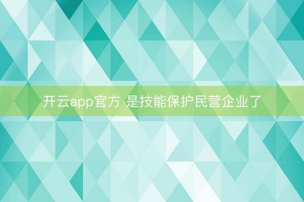 开云app官方 是技能保护民营企业了