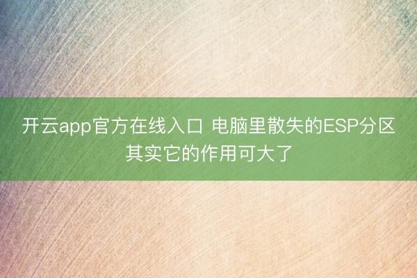开云app官方在线入口 电脑里散失的ESP分区其实它的作用可大了