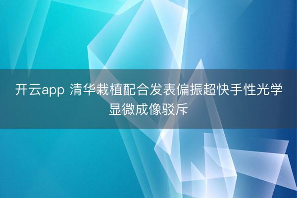 开云app 清华栽植配合发表偏振超快手性光学显微成像驳斥